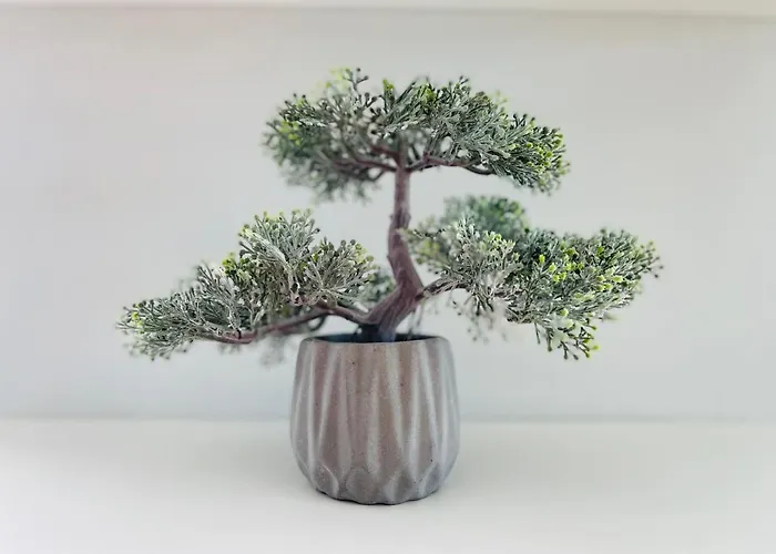 아파트 Vixen Theológos